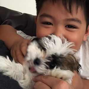 Meet your Posher, Ethan